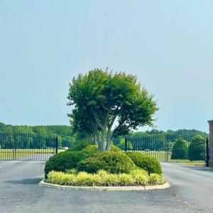 Photo #5 of Lot 55 LEWIS LANE, PARKSLEY, VA 1.2 acres