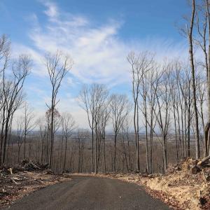 Photo #13 of TBD1 CALF MOUNTAIN RD, WAYNESBORO, VA 97.0 acres