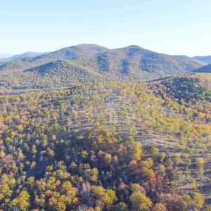 Photo #19 of TBD1 CALF MOUNTAIN RD, WAYNESBORO, VA 97.0 acres