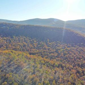 Photo #21 of TBD1 CALF MOUNTAIN RD, WAYNESBORO, VA 97.0 acres