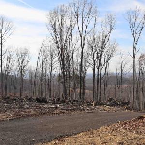 Photo #6 of TBD1 CALF MOUNTAIN RD, WAYNESBORO, VA 97.0 acres