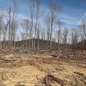 Photo #7 of TBD1 CALF MOUNTAIN RD, WAYNESBORO, VA 97.0 acres