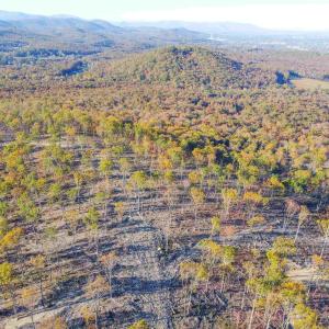 Photo #2 of TBD CALF MOUNTAIN RD, WAYNESBORO, VA 76.0 acres