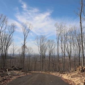 Photo #11 of TBD CALF MOUNTAIN RD, WAYNESBORO, VA 76.0 acres