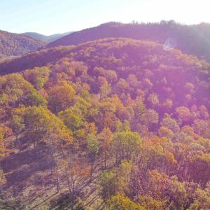 Photo #13 of TBD CALF MOUNTAIN RD, WAYNESBORO, VA 76.0 acres