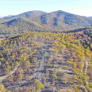 Photo #17 of TBD CALF MOUNTAIN RD, WAYNESBORO, VA 76.0 acres