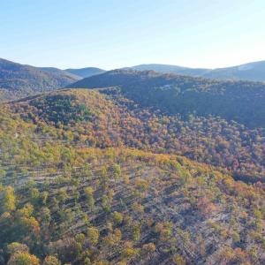 Photo #3 of TBD CALF MOUNTAIN RD, WAYNESBORO, VA 76.0 acres