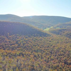 Photo #20 of TBD CALF MOUNTAIN RD, WAYNESBORO, VA 76.0 acres