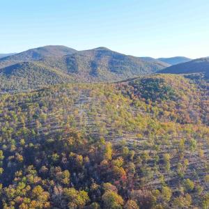 Photo #28 of TBD CALF MOUNTAIN RD, WAYNESBORO, VA 76.0 acres