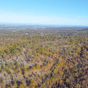 Photo #30 of TBD CALF MOUNTAIN RD, WAYNESBORO, VA 76.0 acres