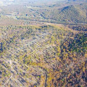 Photo #35 of TBD CALF MOUNTAIN RD, WAYNESBORO, VA 76.0 acres