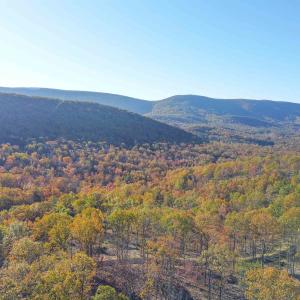 Photo #15 of TBD CALF MOUNTAIN RD, WAYNESBORO, VA 90.0 acres