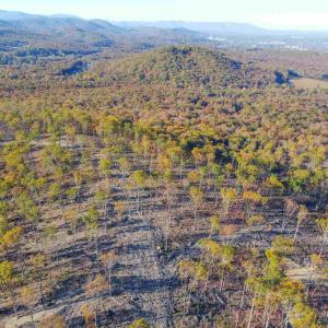 Photo #17 of TBD CALF MOUNTAIN RD, WAYNESBORO, VA 90.0 acres