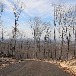 Photo #10 of TBD CALF MOUNTAIN RD, WAYNESBORO, VA 90.0 acres