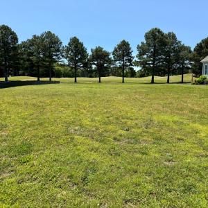 Front of Lot from Street