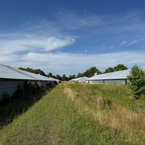 Photo #10 of 5703 NEAL PARKER RD, WITHAMS, VA 13.5 acres