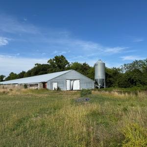 Photo #11 of 5703 NEAL PARKER RD, WITHAMS, VA 13.5 acres