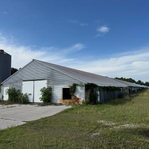 Photo #18 of 5703 NEAL PARKER RD, WITHAMS, VA 13.5 acres