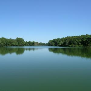 Photo #16 of 12A SAND HILL DR, CAPE CHARLES, VA 2.1 acres