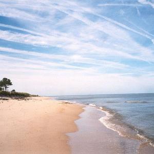 Photo #29 of 12A SAND HILL DR, CAPE CHARLES, VA 2.1 acres