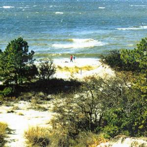 Photo #38 of 12A SAND HILL DR, CAPE CHARLES, VA 2.1 acres