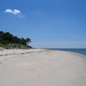 Photo #41 of 12A SAND HILL DR, CAPE CHARLES, VA 2.1 acres