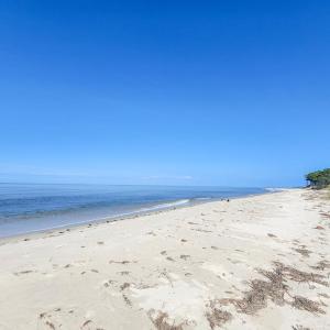 Photo #43 of 12A SAND HILL DR, CAPE CHARLES, VA 2.1 acres