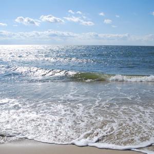 Photo #6 of 12A SAND HILL DR, CAPE CHARLES, VA 2.1 acres