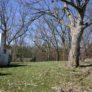 Photo #5 of 1661 SMITHLAND RD, HARRISONBURG, VA 2.2 acres