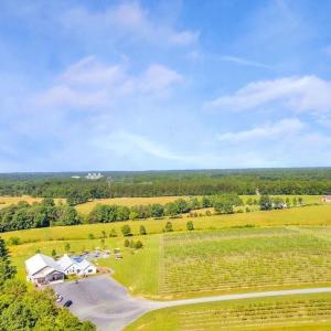 Photo #4 of 3304A RURITAN LAKE RD, PALMYRA, VA 64.6 acres