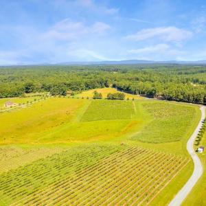 Photo #5 of 3304A RURITAN LAKE RD, PALMYRA, VA 64.6 acres