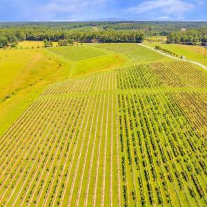 Photo #8 of 3304A RURITAN LAKE RD, PALMYRA, VA 64.6 acres