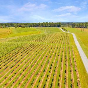 Photo #9 of 3304A RURITAN LAKE RD, PALMYRA, VA 64.6 acres