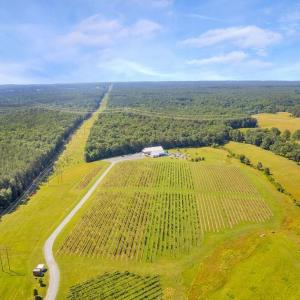 Photo #10 of 3304A RURITAN LAKE RD, PALMYRA, VA 64.6 acres