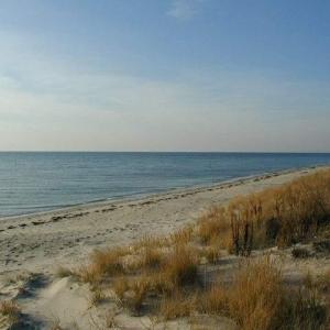 Photo #4 of NOTTINGHAM RIDGE LN, CAPE CHARLES, VA 1.8 acres
