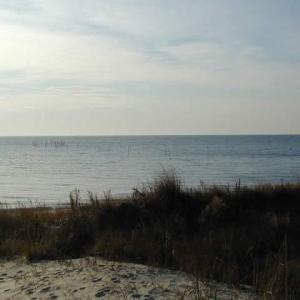 Photo #5 of NOTTINGHAM RIDGE LN, CAPE CHARLES, VA 1.8 acres