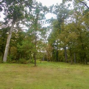 Photo #10 of 74 CREEKSIDE LN, CAPE CHARLES, VA 0.5 acres