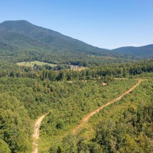 Photo #3 of SOLD property in TBD CUB CREEK RD, ROSELAND, VA 553.0 acres