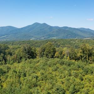 Photo #15 of SOLD property in TBD CUB CREEK RD, ROSELAND, VA 553.0 acres