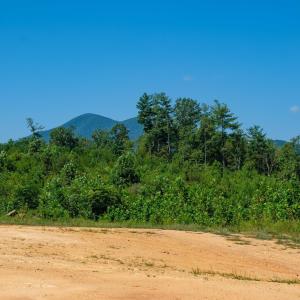 Photo #18 of SOLD property in TBD CUB CREEK RD, ROSELAND, VA 553.0 acres