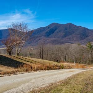 Photo #8 of SOLD property in TBD CUB CREEK RD, ROSELAND, VA 553.0 acres