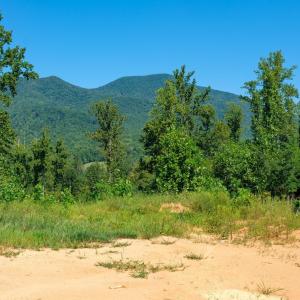 Photo #10 of SOLD property in TBD CUB CREEK RD, ROSELAND, VA 553.0 acres