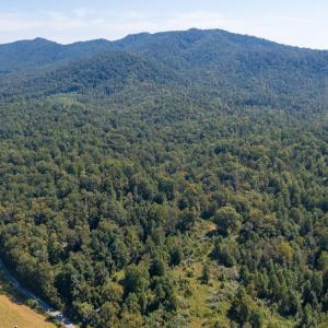 Photo #13 of SOLD property in TBD CUB CREEK RD, ROSELAND, VA 553.0 acres