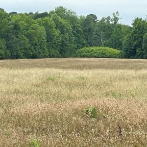 Photo #3 of 47,47B SAVAGEVILLE RD, ONANCOCK, VA 38.0 acres