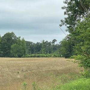 Photo #4 of 47,47B SAVAGEVILLE RD, ONANCOCK, VA 38.0 acres