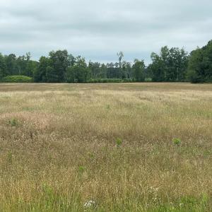 Photo #7 of 47,47B SAVAGEVILLE RD, ONANCOCK, VA 38.0 acres