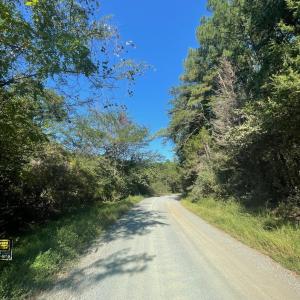 Photo #3 of TBD STONY POINT PASS, KESWICK, VA 56.5 acres