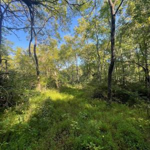 Photo #4 of TBD STONY POINT PASS, KESWICK, VA 56.5 acres