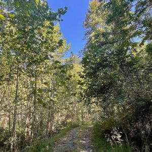 Photo #7 of TBD STONY POINT PASS, KESWICK, VA 56.5 acres