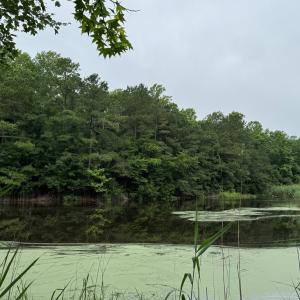 Photo #3 of Lot 1879 BUCCANEER BLVD, GREENBACKVILLE, VA 0.5 acres